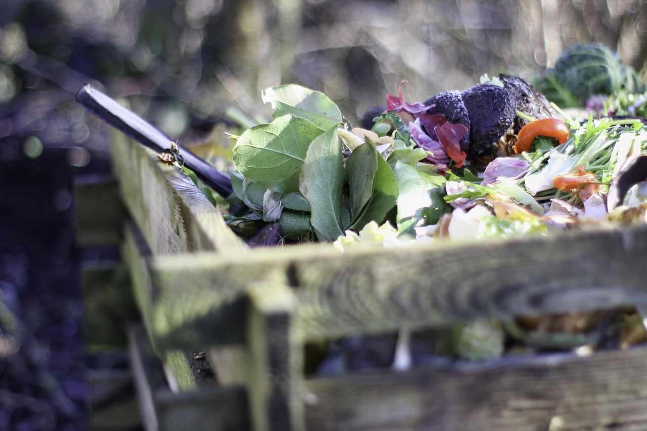 This agricultural waste can be converted to Poly Lactic Acid, a bioplastic